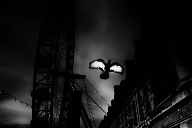 Foto © Marcin Plonka, 650x433, 66.96 KB