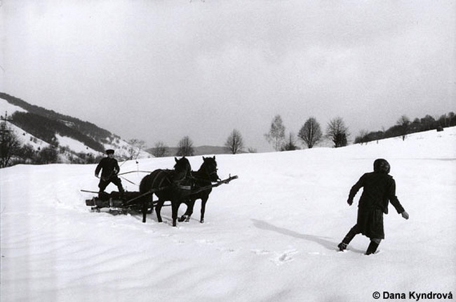 Foto Dana Kyndrová | Skotarskoje, 1992, 650x430, 86.62 KB