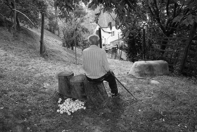 Foto Bára Pavlicová | Salaš 2004, 650x434, 153.90 KB