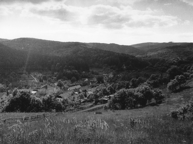 Foto Roman Ehl | Salaš 2004, 650x486, 122.05 KB