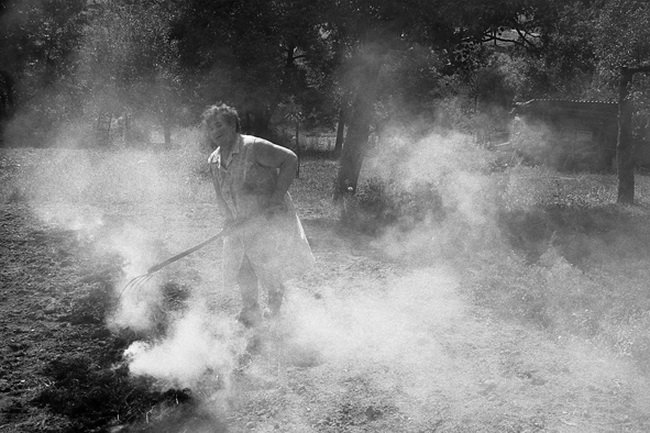 Foto Petra Křivová | Salaš 2004, 650x433, 119.54 KB