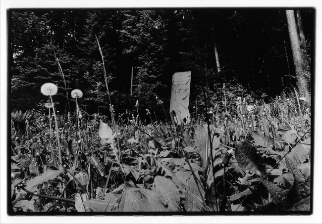 Foto Anička Štěrbová, 650x453, 156.52 KB