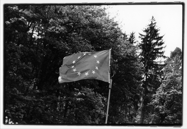 Foto Vendy Mlejnská, 650x449, 140.87 KB