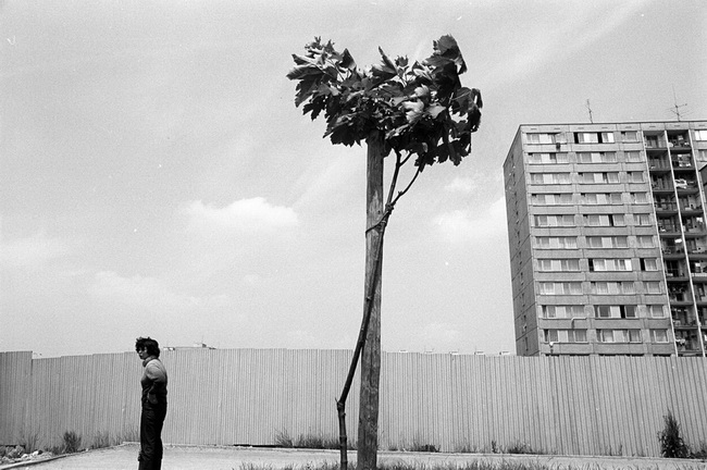 Foto © Jaromír Čejka., 650x432, 123.17 KB