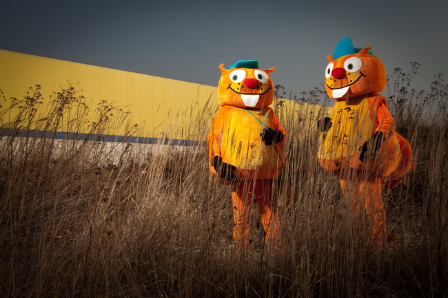 Invasion of squirrels 03 | 2012, 650x433, 151.17 KB