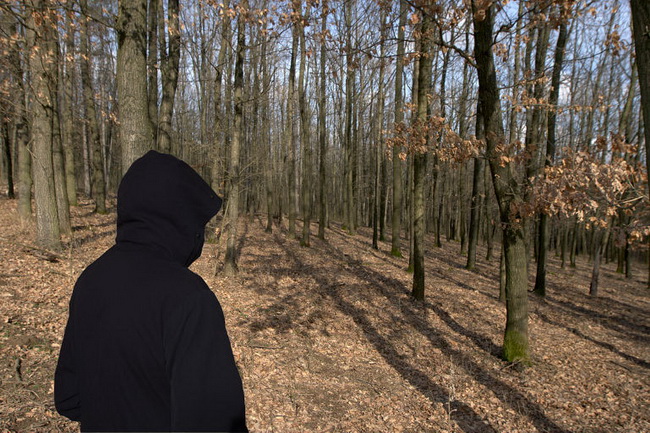 Z nočního stolku, 2009 - 2011, 650x433, 189.39 KB