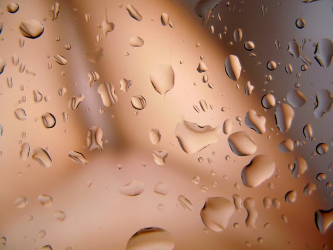 Autoportrét, 2007, 650x488, 104.17 KB