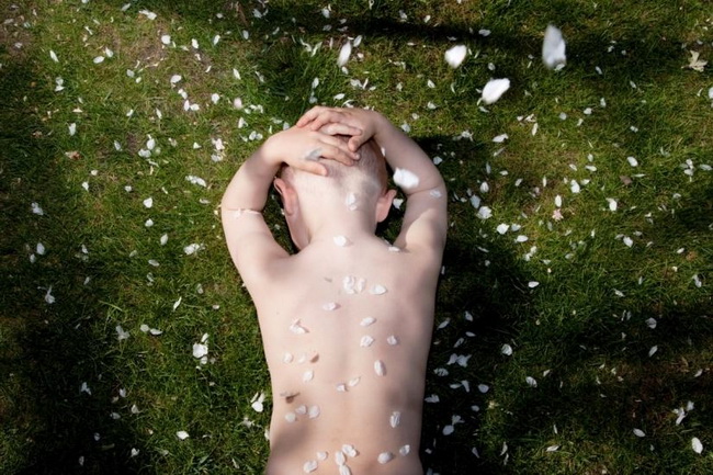 Dreams, 2009 - 2011, 650x433, 142.25 KB