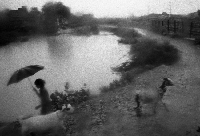 Martina Novozámská | Indie, 650x442, 107.81 KB