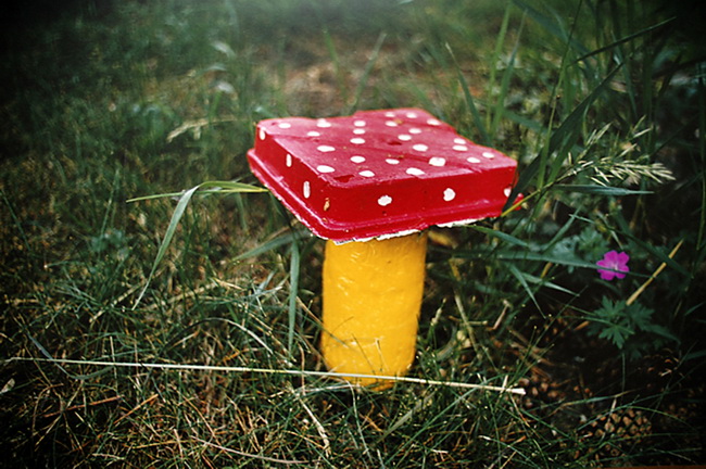 Veronika Zapletalová | Prašivka, 650x432, 160.21 KB